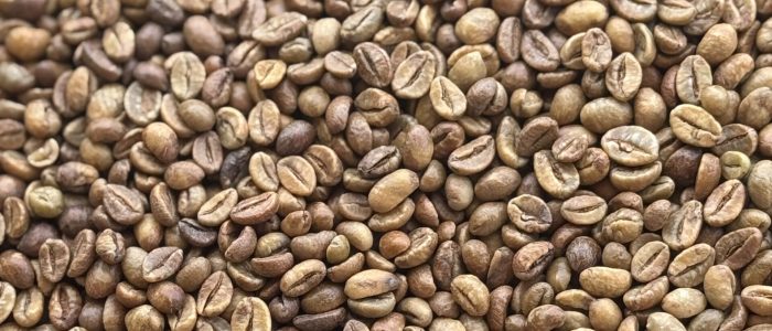 Fine robusta wine (2)