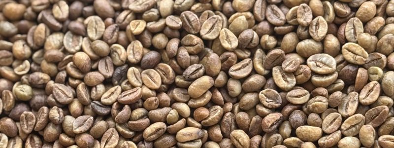Fine robusta wine (2)