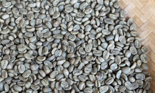 arabica full washed garut (java preanger) 1