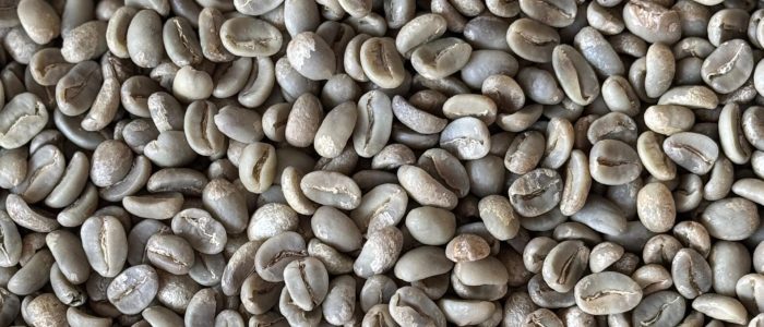 arabica full washed garut (java preanger)