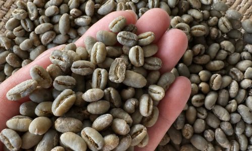 arabica peaberry honey gayo 1