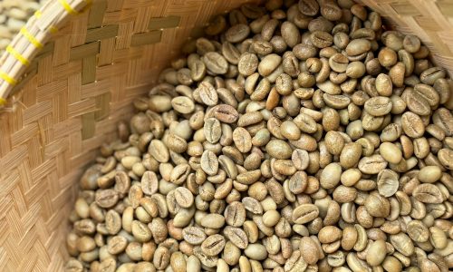 fine robusta temanggung 1
